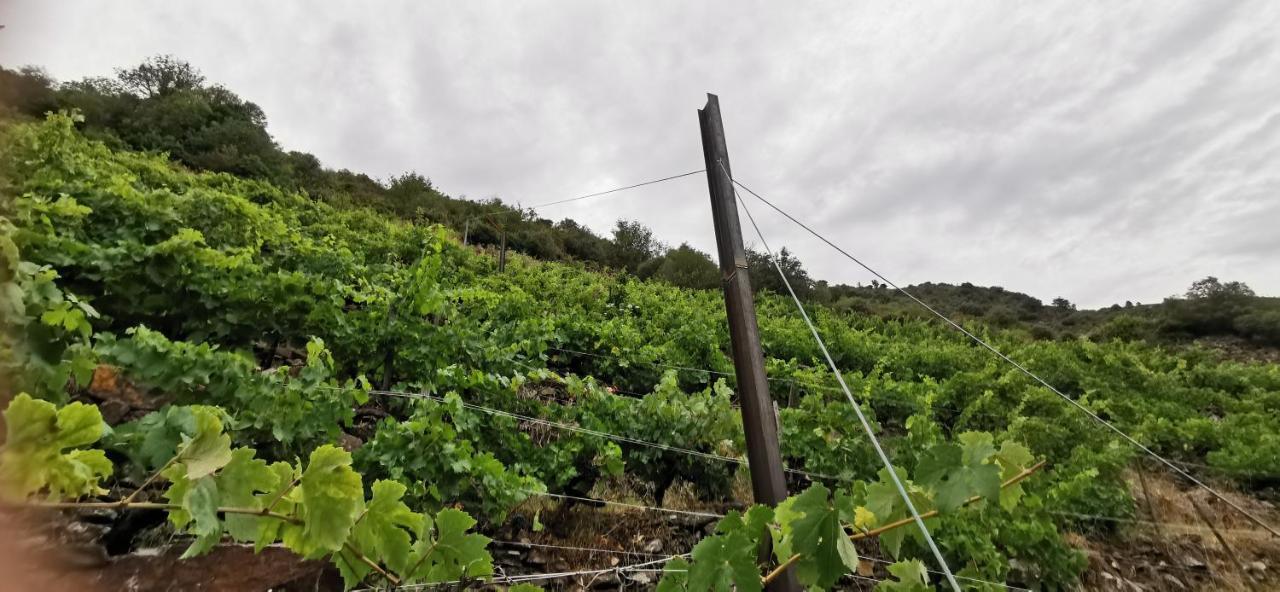 Vina Cazoga Villa Sober Bagian luar foto