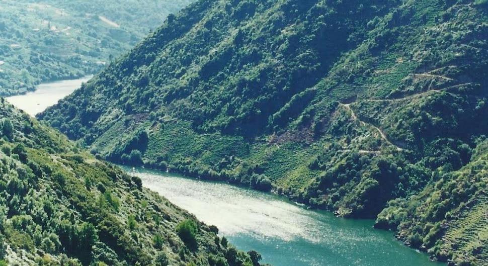 Vina Cazoga Villa Sober Bagian luar foto