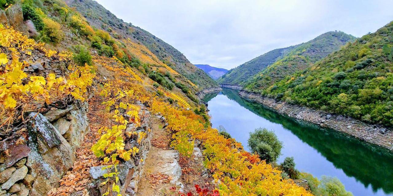 Vina Cazoga Villa Sober Bagian luar foto